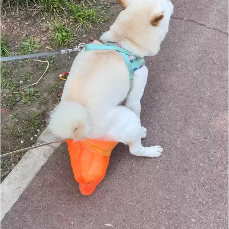 WalkReady™ Dog Waste Dispenser (Bags Not Included)